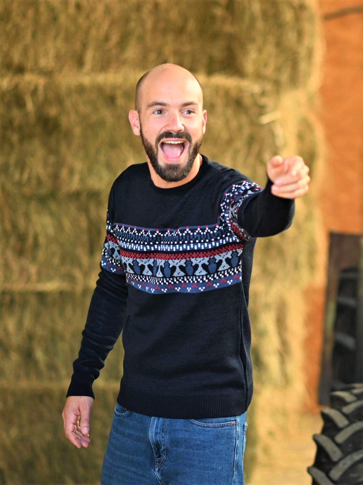 Pull Jacquard Model Pull Homme Pull Tranquille Emile Pull La